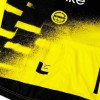 Bekleidung Damen Team Visma Lease a bike 2025 The Wingbeat frau trikot
